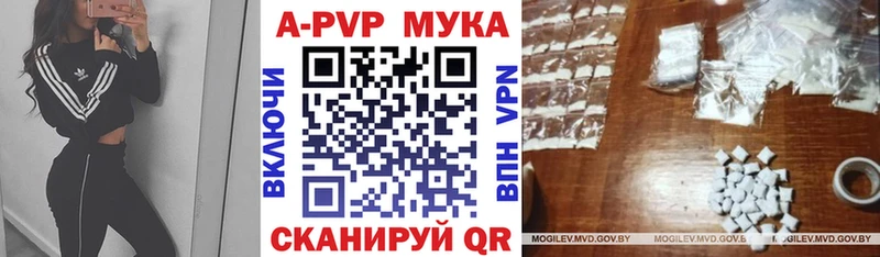 Alpha-PVP мука купить наркоту mega ссылки Гусиноозёрск